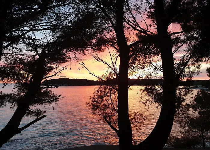 公寓 Vostan 普拉